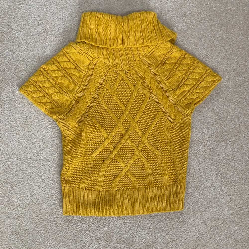 Ann Taylor Loft Sleeveless Sweater